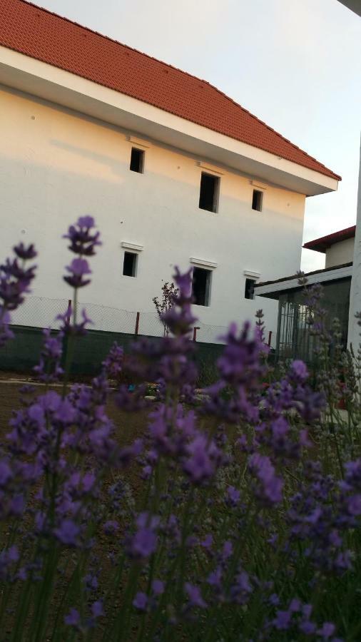 Sunny Border (Adults Only) Hotel วามาเวเก ภายนอก รูปภาพ